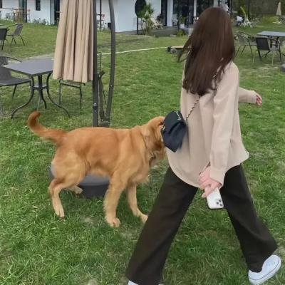 一鸣惊人